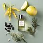 Essential Parfums Nice Bergamote EDP 100ml