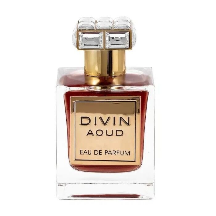 FA Paris Divin Aoud EDP 100ml