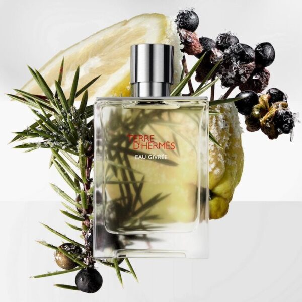 Hermes Terre D'Hermes Eau Givree EDP 100ml - Image 4