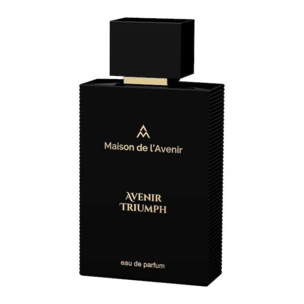 Maison de L'Avenir Avenir Triumph EDP 100ml - Image 2