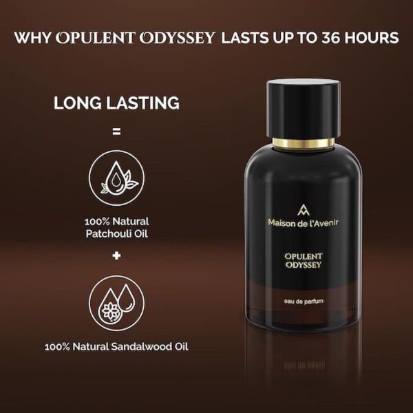 Maison de L'Avenir Opulent Odyssey  EDP 100ml - Image 3